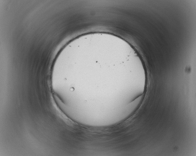 X0000111841342200909031654