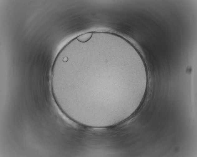 X0000111841343200909031654