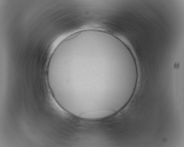 X0000111841344200909031654