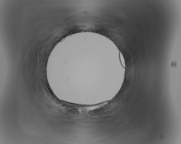 X0000111841345200909031653