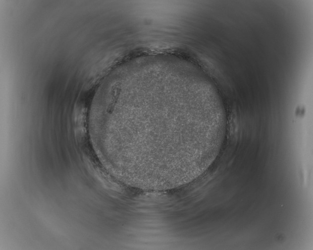 X0000111841346200909031653