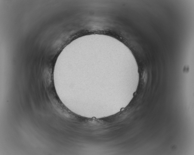 X0000111841348200909031653