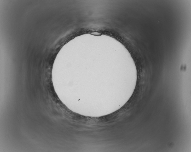 X0000111841349200909031653