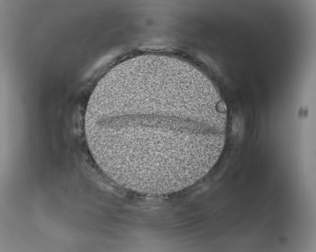 X0000111841350200909031653