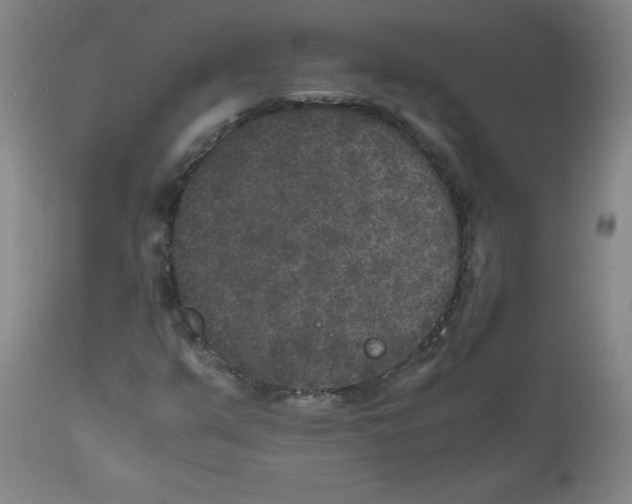 X0000111841351200909031653