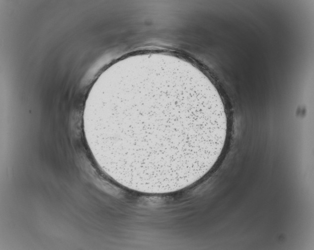 X0000111841355200909031653