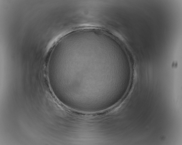 X0000111841357200909031653