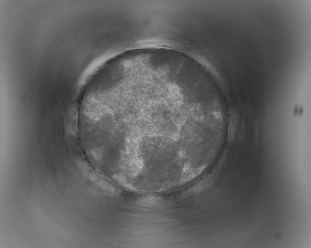 X0000111841358200909031653