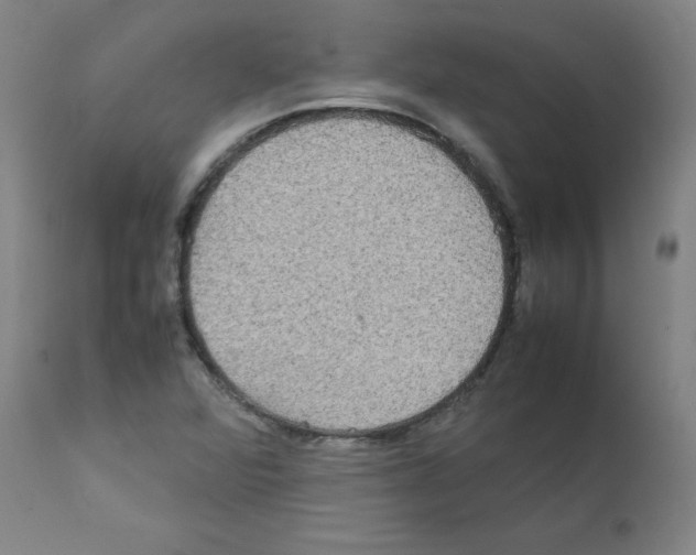 X0000111841360200909031653