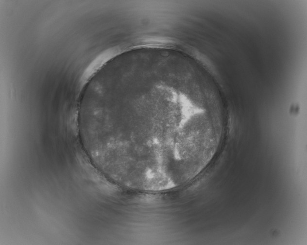 X0000111841362200909031653