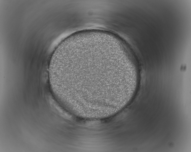 X0000111841363200909031653