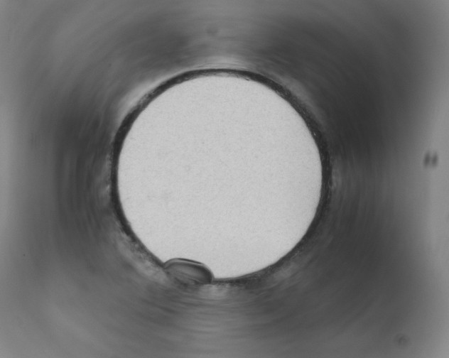 X0000111841364200909031653