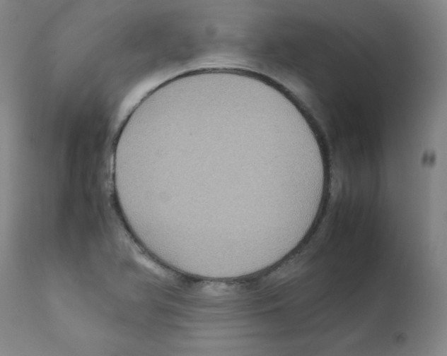 X0000111841366200909031653