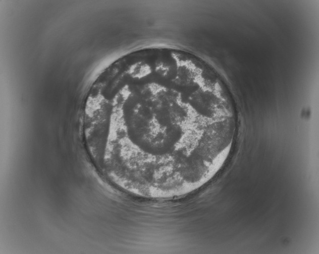 X0000111841367200909031653