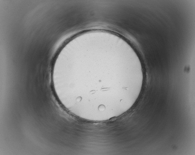 X0000111841368200909031653