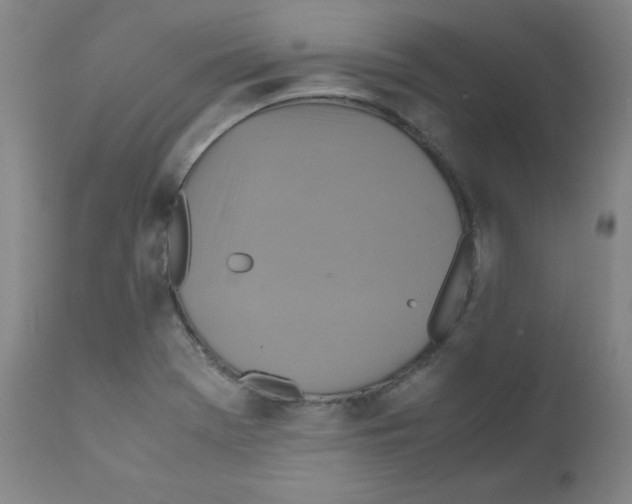 X0000111841369200909031653