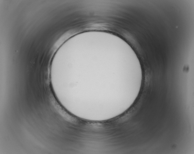 X0000111841370200909031653