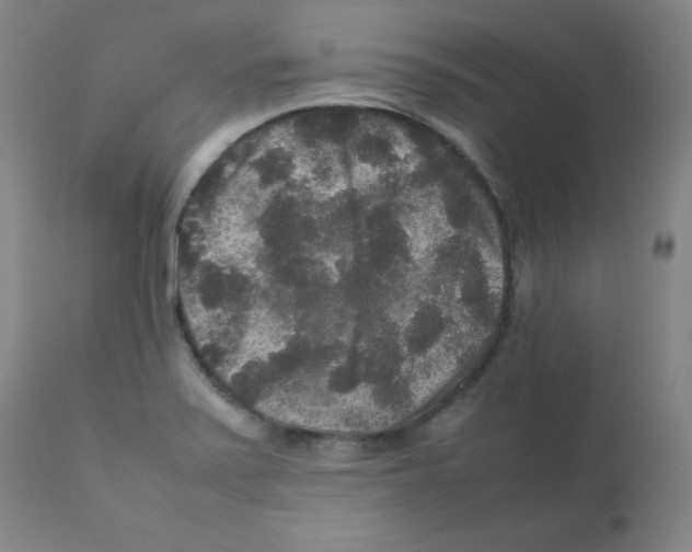 X0000111841371200909031653