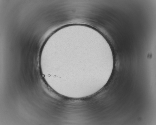 X0000111841372200909031653