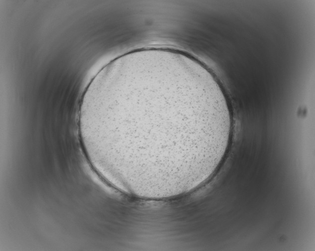 X0000111841374200909031653