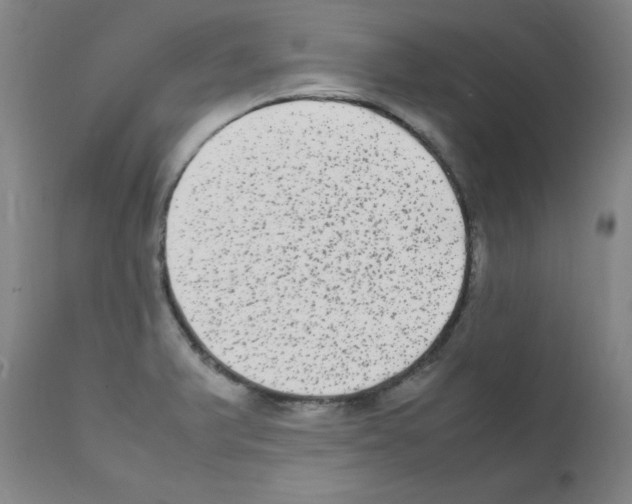 X0000111841375200909031653