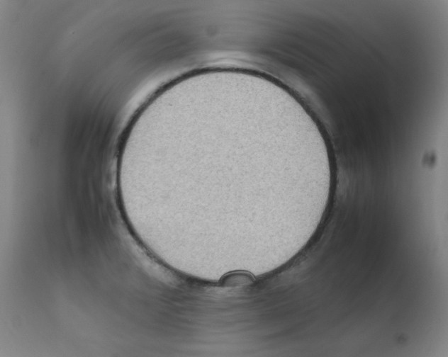 X0000111841376200909031653