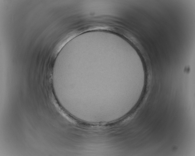 X0000111841377200909031653