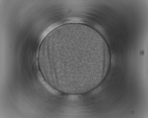 X0000111841378200909031653