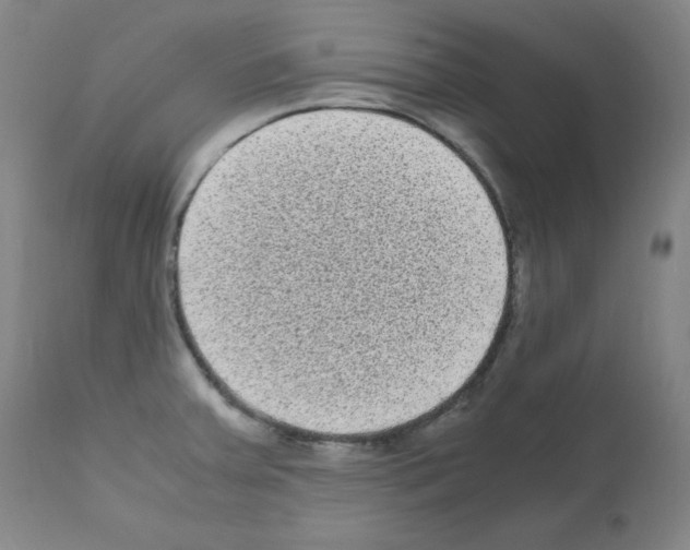 X0000111841379200909031653