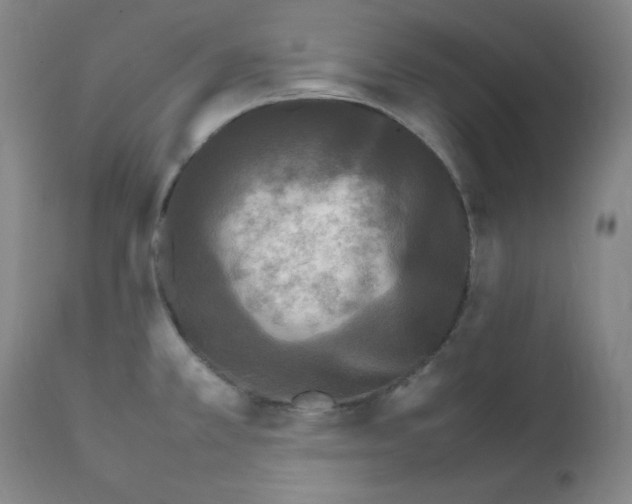 X0000111841381200909031653