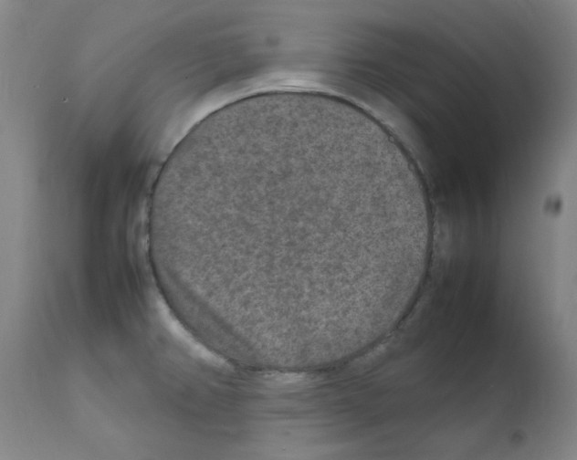 X0000111841382200909031653