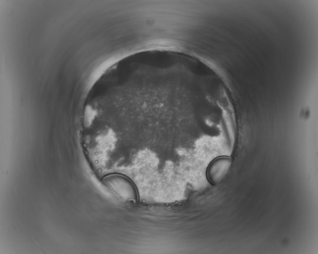 X0000111841383200909031653