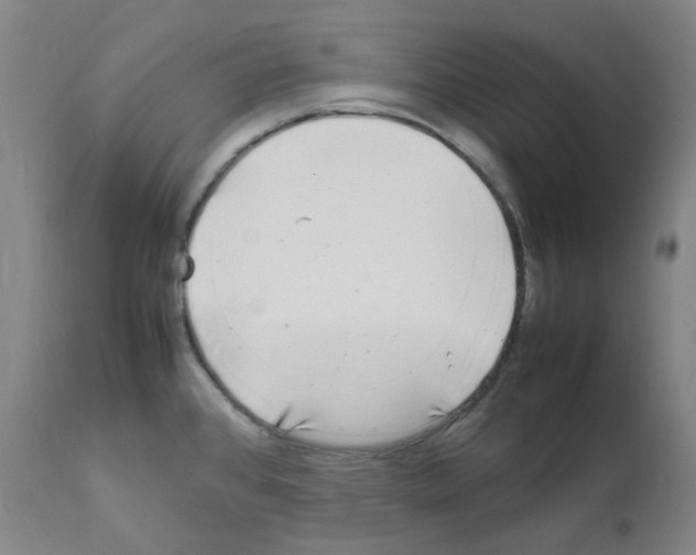 X0000111841384200909031653