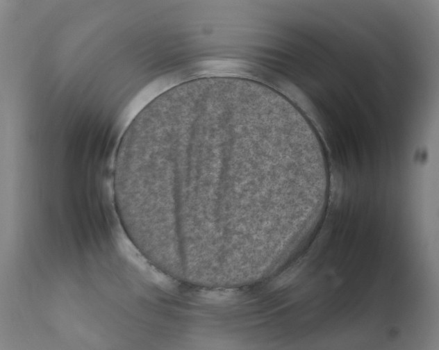 X0000111841386200909031652