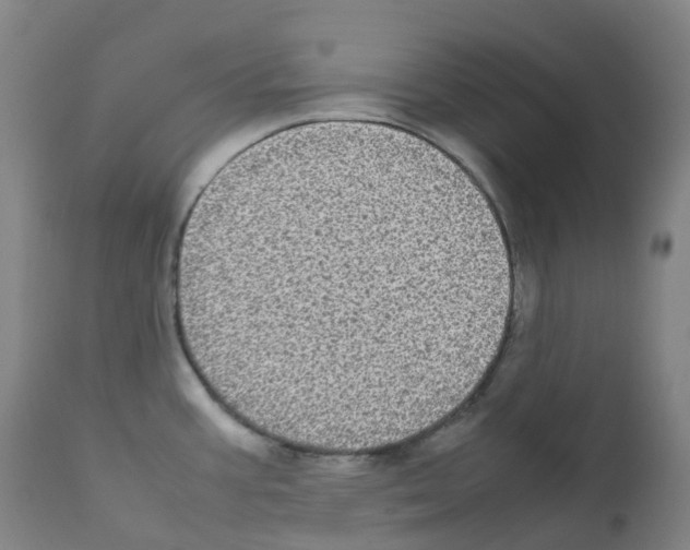 X0000111841387200909031652