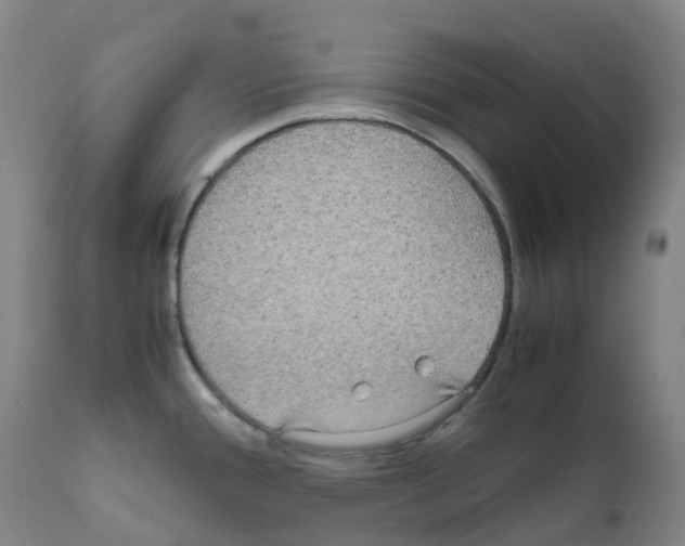 X0000111841388200909031652