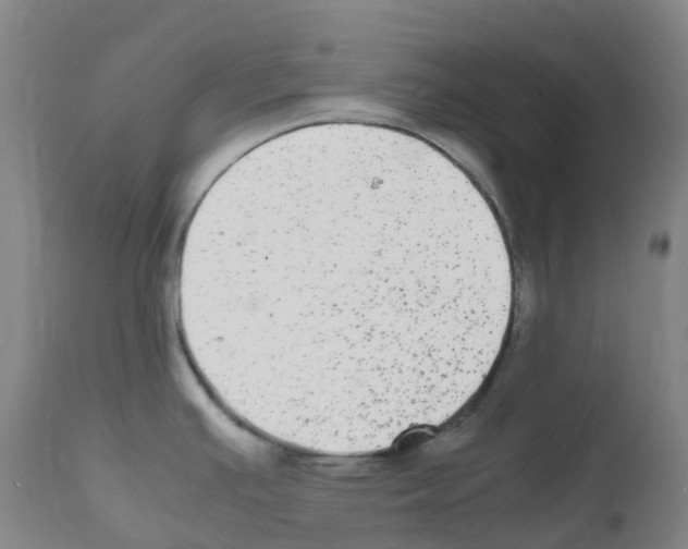 X0000111841391200909031652