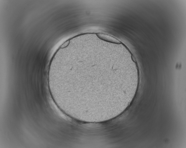 X0000111841392200909031652