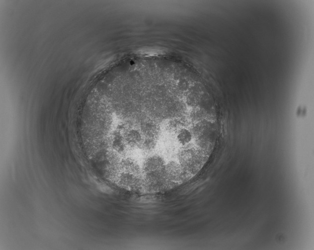 X0000111841393200909031652