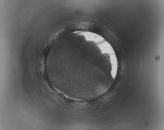 X0000111841394200909031652