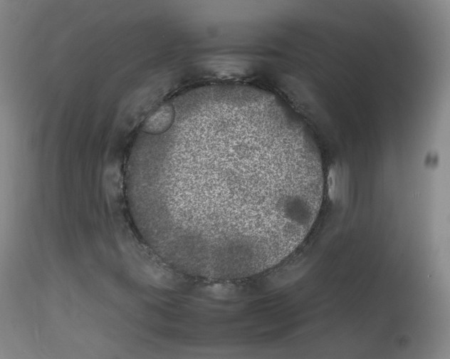 X0000111841395200909031652