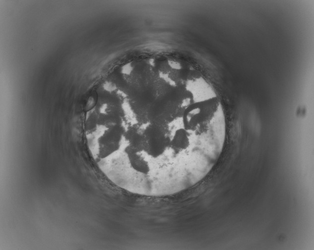 X0000111841397200909031652