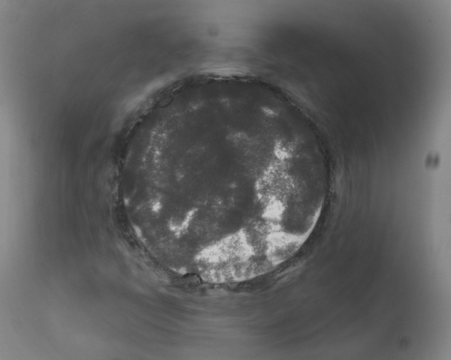 X0000111841398200909031652