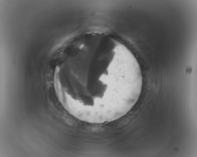 X0000111841399200909031652