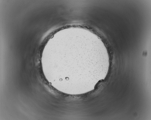 X0000111841400200909031652