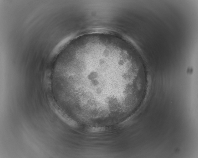 X0000111841403200909031652