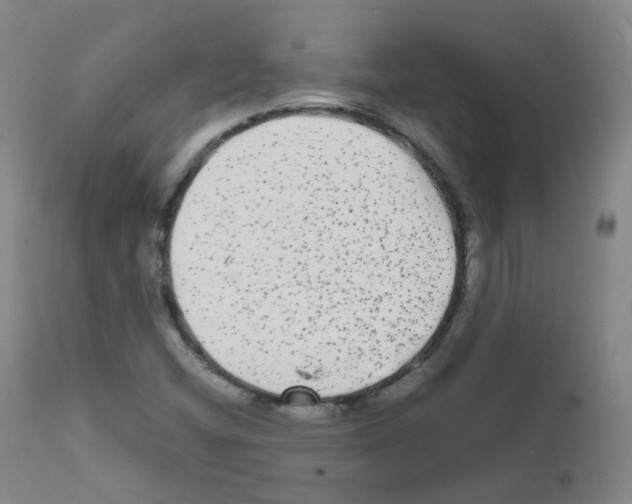 X0000111841404200909031652