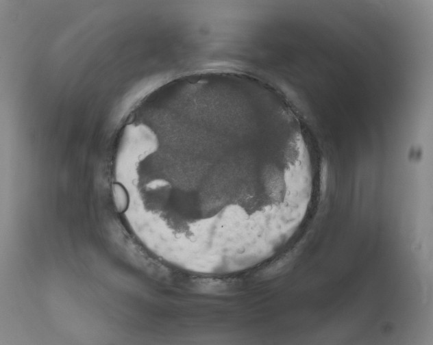 X0000111841405200909031652