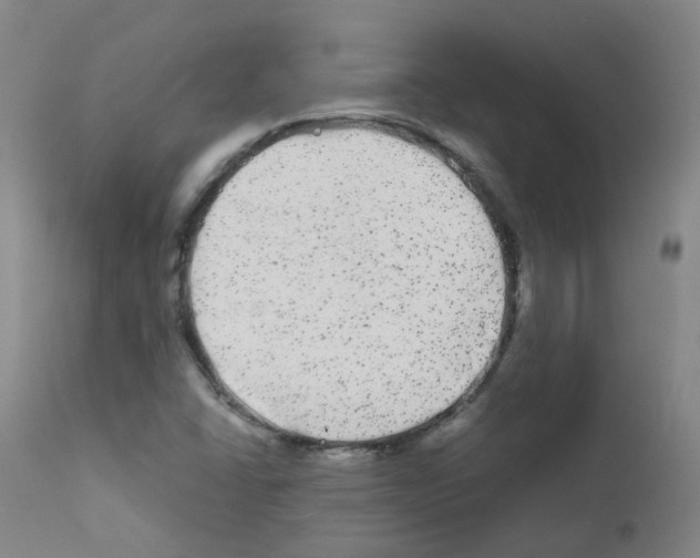 X0000111841406200909031652