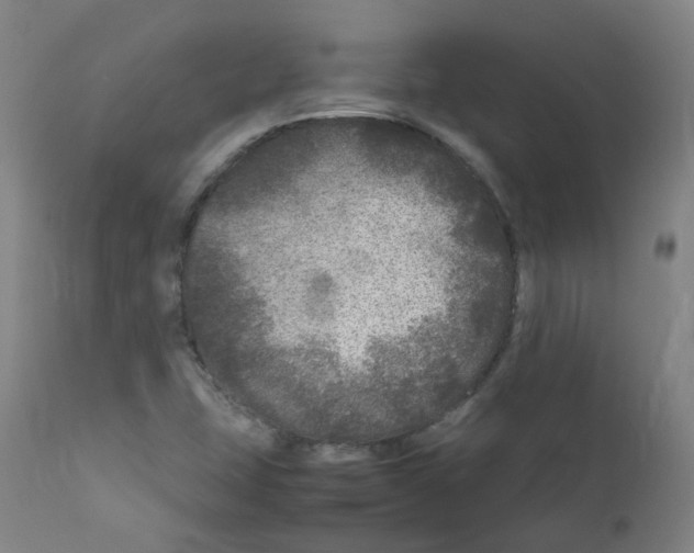 X0000111841407200909031652